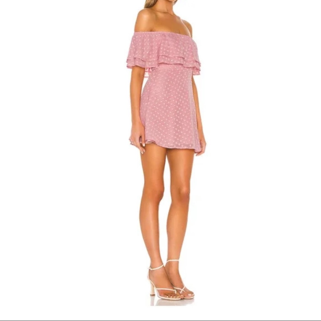 Privacy Please Gardenia Peony Pink Heart Mini Dress Xxs